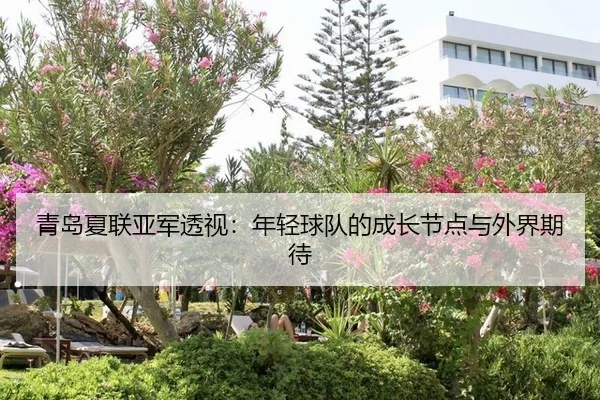青岛夏联亚军透视：年轻球队的成长节点与外界期待